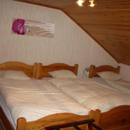 D'evolene Inn Evolene