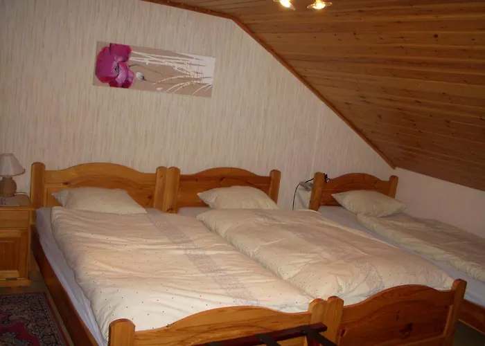 D'evolene Mini-hôtel Evolène